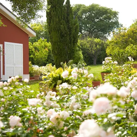 Borgo Rosso 锡罗洛