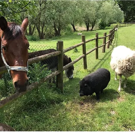 Séjour à la campagne Borgo Rosso Sirolo